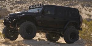 Jeep Wrangler with Black Rhino Rapid